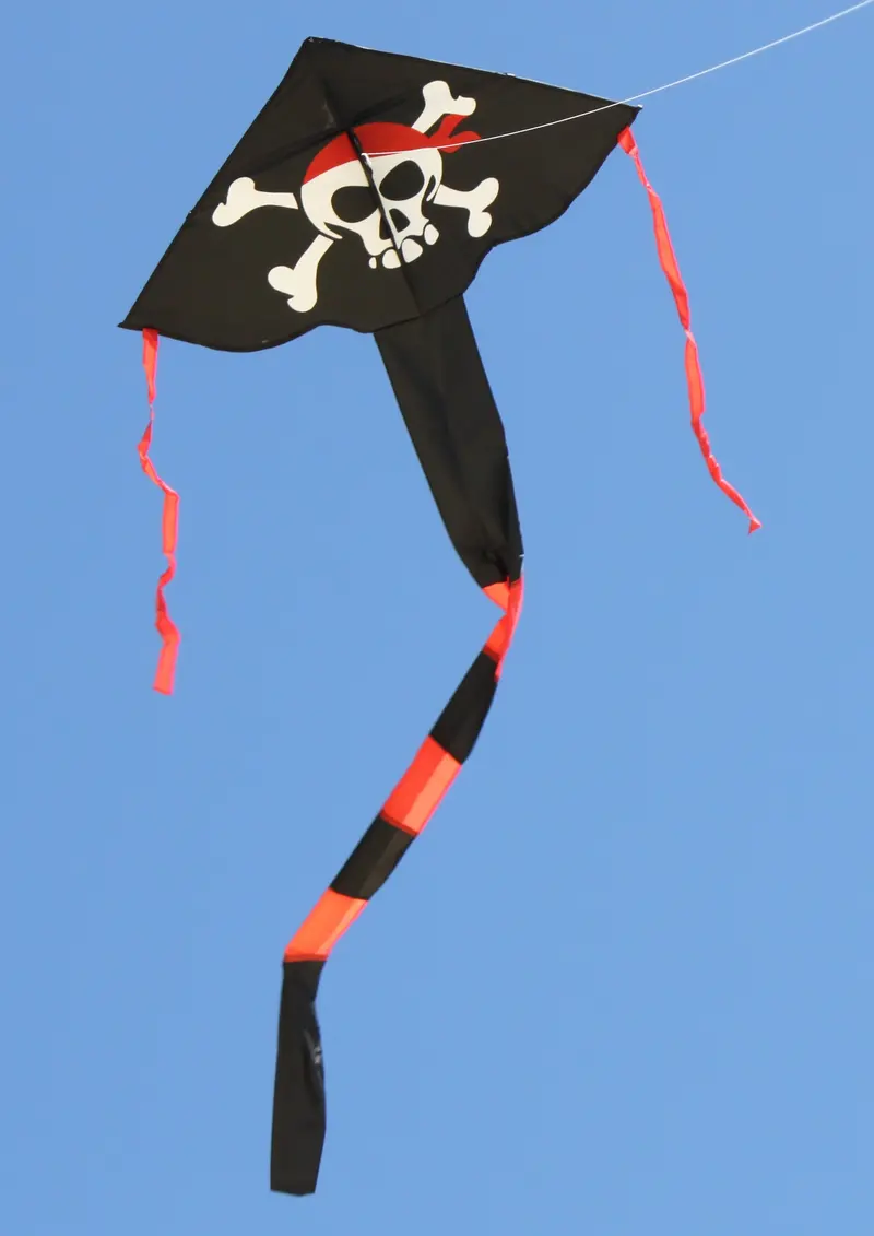 Windspeed Pirate Delta Single Line Kite - Ws832 1