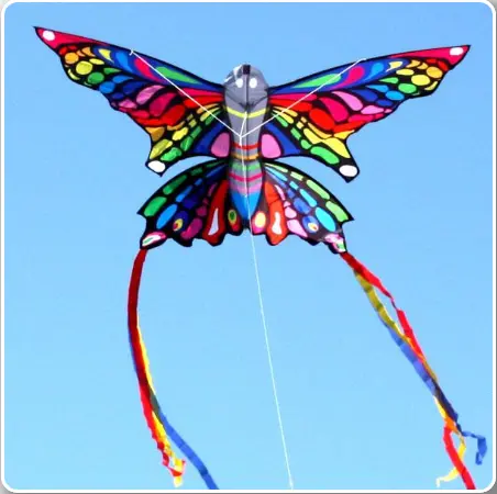 Windspeed Rainbow Butterfly Single Line Kite - Ws7150 1