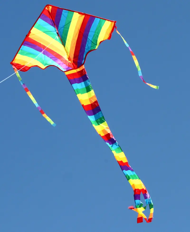 Windspeed Rainbow Delta Single Line Kite - Ws882 1