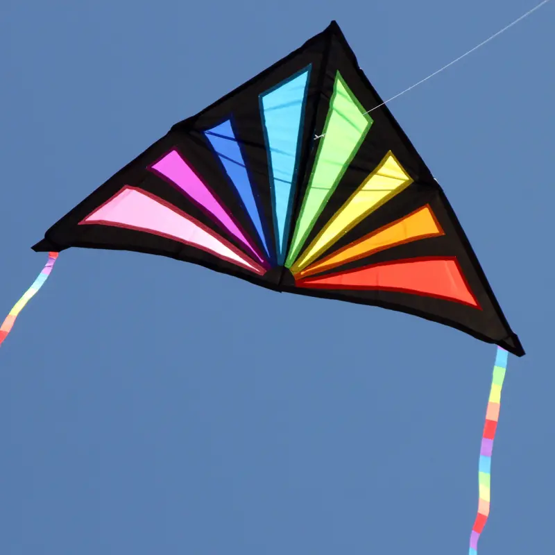 Windspeed Sunrise Delta Single Line Kite - Ws7250 1
