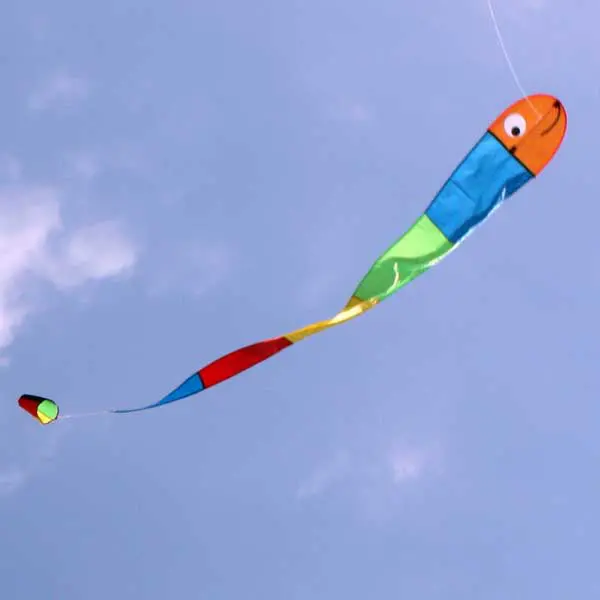 Windspeed Wilma The Worm Single Line Kite - Ws815 1