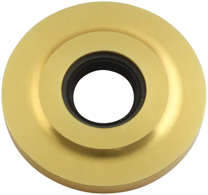 Allstar Performance Gold Cam Seal Plate – Precision-Machined For Engine Builds 1